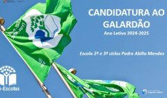 Capas noticias (56)