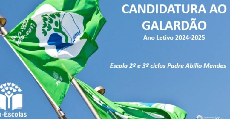 Capas noticias (56)