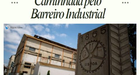 Capas noticias (2)