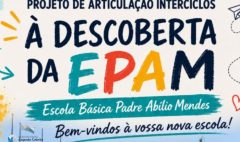 Capas noticias (6)