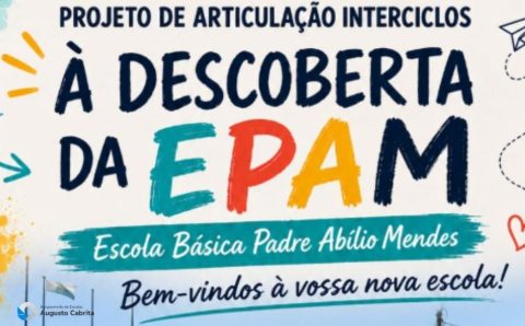 Capas noticias (6)