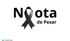 Capas noticias (7)